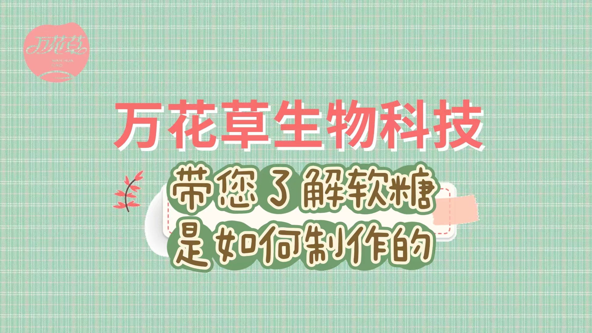 軟糖代加工生產(chǎn)工藝流程，帶您了解糖果是如何制作的