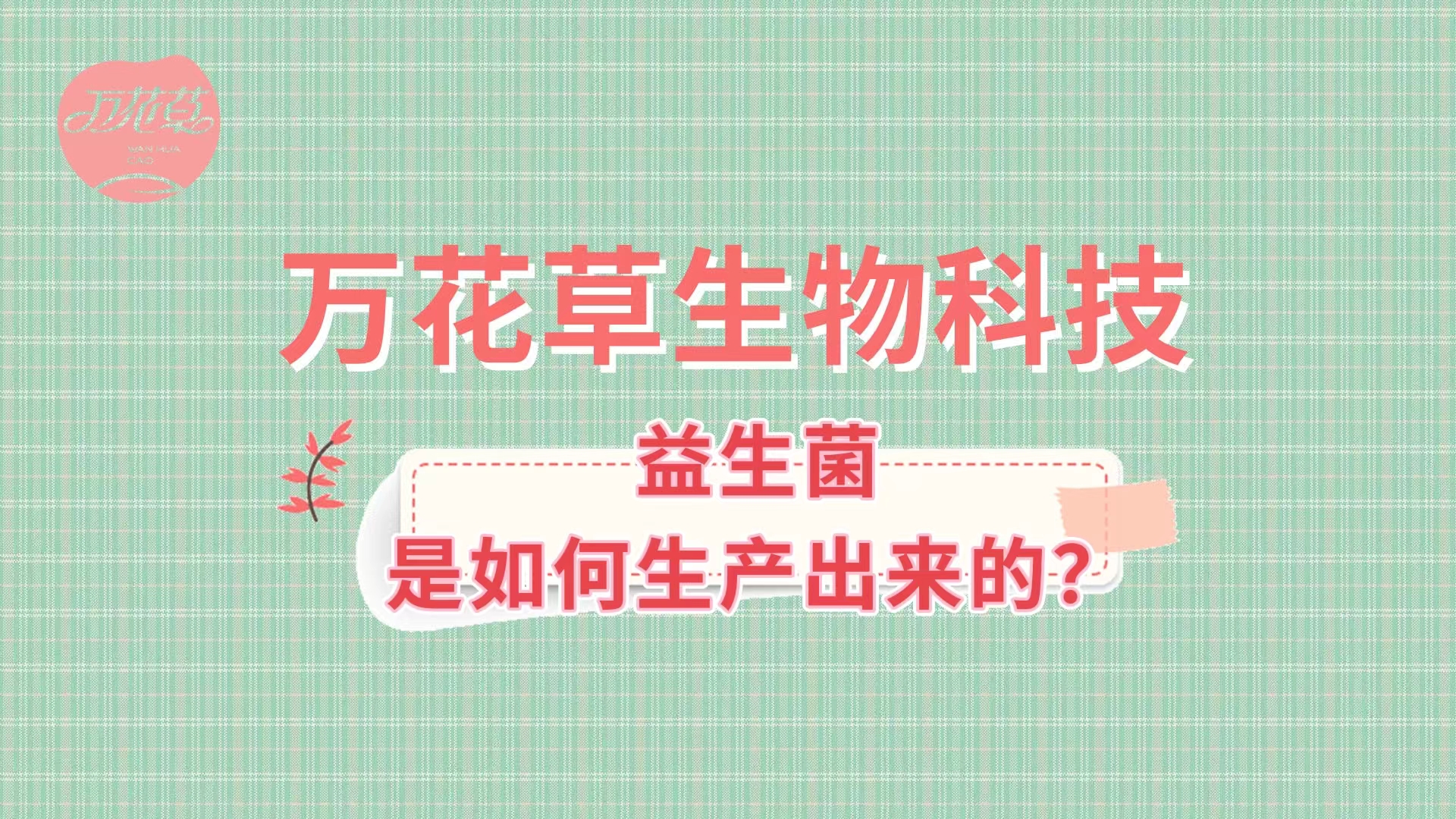 帶您了解益生菌是如何生產(chǎn)出來的,好的廠家哪里找？