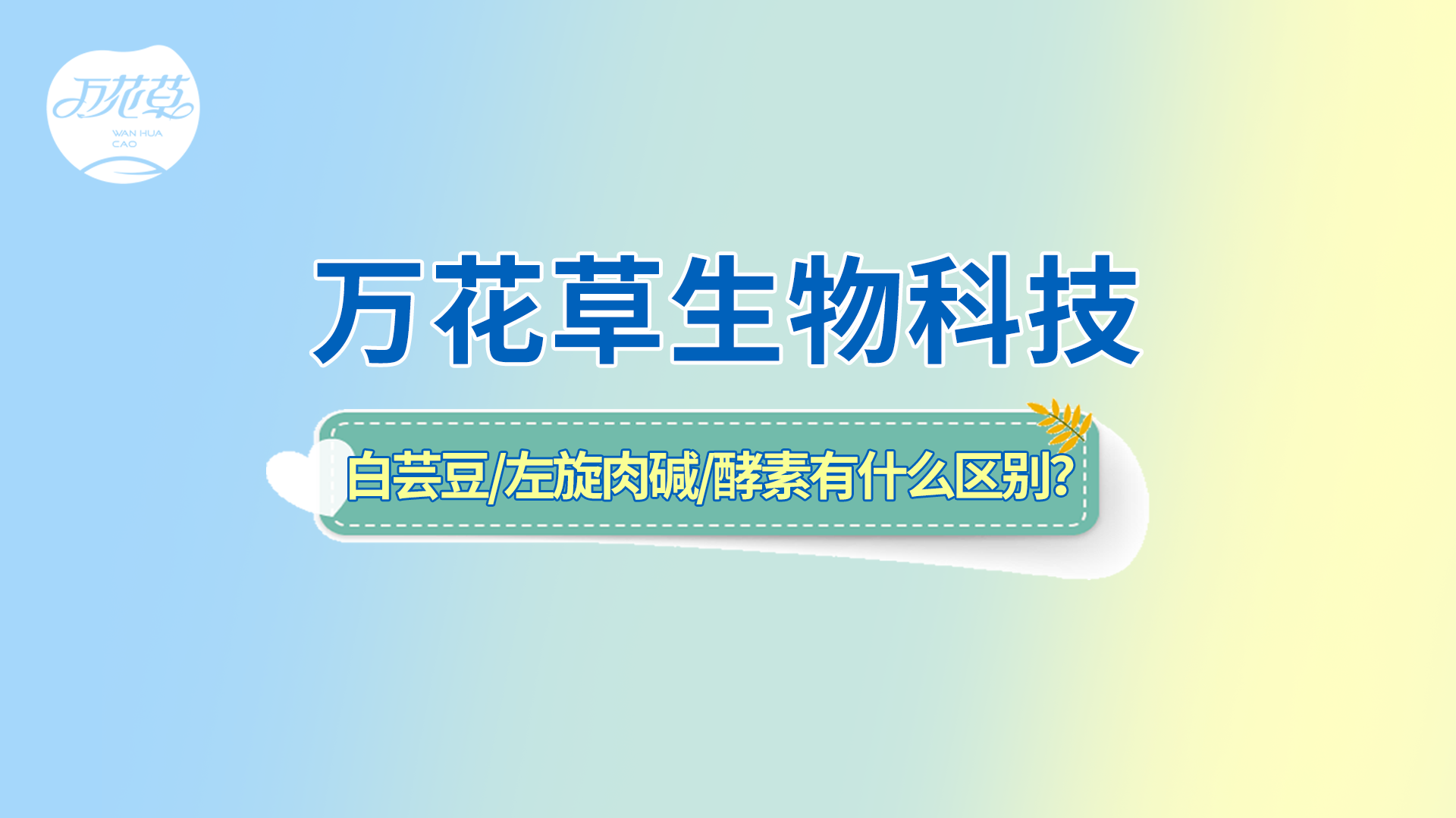 白蕓豆、左旋肉堿、嗨吃酵素有什么區(qū)別？